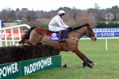 2  February 2020;   Faugheen, Paul Townend up, on his way to winning The Flogas Novice Steeplechase at Leopardstown.      © Peter Mooney, 59 Upper George's Street, Dun Laoghaire, Co. Dublin A96 H2R3, Ireland.    Tel:  00 353 (0)86 2589298