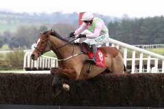 16 November 2019;  FAUGHEEN, ridden by Paul Townend, jumps the final obstacle before winning The Naas Oil Beginners Steeplechase at Punchestown.     © Peter Mooney, 59 Upper George's Street, Dun Laoghaire, Co. Dublin A96 H2R3, Ireland.  Tel:  00 353 (0)86 2589298