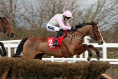 24 January 2016; FAUGHEEN and Ruby Walsh clear the first flight before claiming The BHP Insurances Irish Champion Hurdle at Leopardstown.  © Peter Mooney, 59 Upper George's Street, Dun Laoghaire, Co. Dublin A96 H2R3, Ireland.  Tel:  00 353 (0)86 2589298