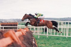 Istabraq-97T-25
