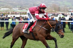 13 March 2019;   TIGER ROLL, Keith Donoghue up,  winning The Glenfarclas Steeple Chase at Cheltenham.      © Peter Mooney, 59 Upper George's Street, Dun Laoghaire, Co. Dublin A96 H2R3, Ireland.  Tel:  00 353 (0)86 2589298