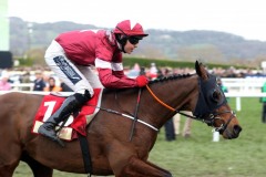 13 March 2019;   TIGER ROLL, Keith Donoghue up,  winning The Glenfarclas Steeple Chase at Cheltenham.      © Peter Mooney, 59 Upper George's Street, Dun Laoghaire, Co. Dublin A96 H2R3, Ireland.  Tel:  00 353 (0)86 2589298