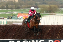 14 March 2017;  TIGER ROLL, Lisa O'Neill up, skips over the final obstacle before winning The JT McNamara National Hunt Challenge Cup Amateur Riders' Novices' Steeple Chase at Cheltenham.      © Peter Mooney, 59 Upper George's Street, Dun Laoghaire, Co. Dublin A96 H2R3, Ireland.  Tel:  00 353 (0)86 2589298
