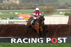 14 March 2017;  TIGER ROLL, Lisa O'Neill up, skips over the final obstacle before winning The JT McNamara National Hunt Challenge Cup Amateur Riders' Novices' Steeple Chase at Cheltenham.      © Peter Mooney, 59 Upper George's Street, Dun Laoghaire, Co. Dublin A96 H2R3, Ireland.  Tel:  00 353 (0)86 2589298