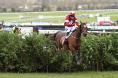 14 March 2018;  TIGER ROLL, Keith Donoghue up, clears the final fence en route to success in The Glenfarclas Steeplechase at Cheltenham. 
© Peter Mooney, 59 Upper George's Street, Dun Laoghaire, Co. Dublin A96 H2R3, Ireland.  Tel:  00 353 (0)86 2589298