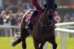 17 February 2019: TIGER ROLL and Keith Donoghue pass the stands before claiming The Ladbrokes Ireland Boyne Hurdle at Navan.      © Peter Mooney, 59 Upper George's Street, Dun Laoghaire, Co. Dublin A96 H2R3, Ireland.  Tel:  00 353 (0)86 2589298