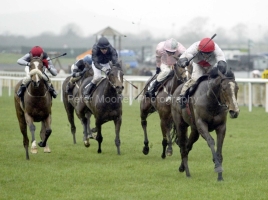 Danehill Music PML0011070.jpg Danehill Music PML0011070.jpg