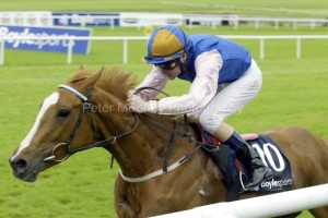 Nightime PM00341013.jpg Nightime PM00341013.jpg