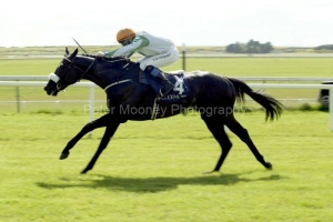 Decado PML0013190.jpg Decado PML0013190.jpg