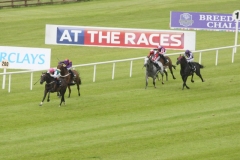 Famous Name-PML 00190304