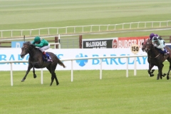 Hartani-PML 00190373