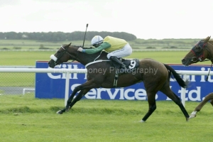 Ugo Fire PMOO330391.jpg Ugo Fire PMOO330391.jpg