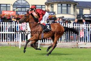 kiyoshi-pml-00135886 kiyoshi-pml-00135886