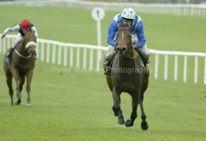 Indesatchel PM00319811.jpg Indesatchel PM00319811.jpg