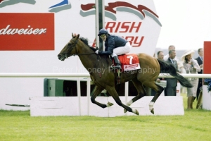 Dylan Thomas PM00343495.jpg Dylan Thomas PM00343495.jpg