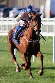 Chally Chute 021125PML1044.jpg