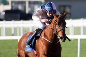 Chally Chute 021125PML1052.jpg