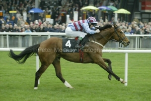 Sublimity PM00317699.jpg Sublimity PM00317699.jpg