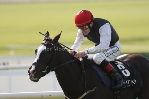 Unaccompanied-PML 00150141 Unaccompanied-PML 00150141