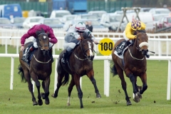 Gold Lace-PML 00150020