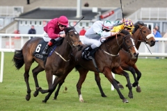 Gold Lace-PML 00150026