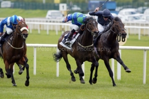 Free Judgement PML 00117707.JPG Free Judgement PML 00117707.JPG