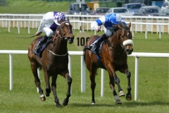 Clondinnery PML 00117679.JPG