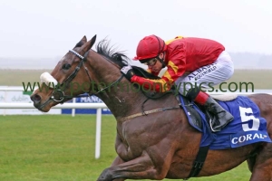 zhukova-030416pml386 zhukova-030416pml386