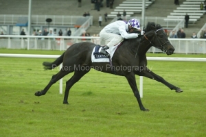 Vocalised PML 0090346.JPG Vocalised PML 0090346.JPG