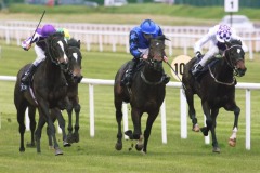 Atasari PML 0090303.JPG