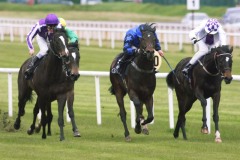 Atasari PML 0090304.JPG