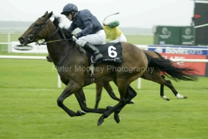 Rumplestiltskin PMOO327594.jpg Rumplestiltskin PMOO327594.jpg