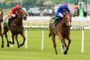 divine-040616pml0736 divine-040616pml0736