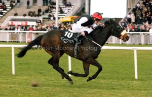 Mad About You PML 0088076.JPG Mad About You PML 0088076.JPG