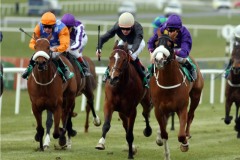 Baron D'El PML 0088089.JPG