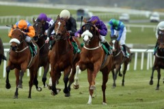 Baron D'El PML 0088095.JPG