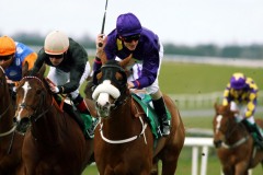 Baron D'El PML 0088104.JPG