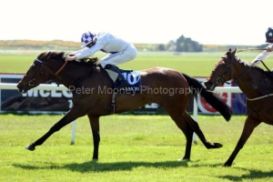 Prima Luce PML 0068067.JPG Prima Luce PML 0068067.JPG