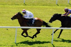 Capt Chaos PML 0068032.JPG