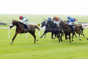 Chelsea Rose PML0004432.jpg Chelsea Rose PML0004432.jpg