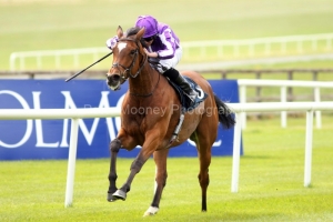 6 May 2019:   MINDING, Ryan Moore up, winning The Coolmore Highland Reel Irish European Breeders Fund Mooresbridge Stakes at The Curragh.© Peter Mooney, 59 Upper George's Street, Dun Laoghaire, Co. Dublin, Ireland.    Tel:  00 353 (0)86 2589298