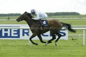 Creachadoir PML 0037547.jpg Creachadoir PML 0037547.jpg