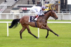 Move To Strike-PML 00186164 Move To Strike-PML 00186164