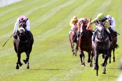 Gossamer Seed-PML 00186192