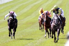 Gossamer Seed-PML 00186193