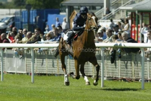 George Washington PMOO326501.jpg George Washington PMOO326501.jpg