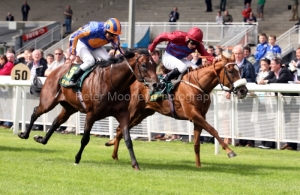 La Collina-PML 00162621 La Collina-PML 00162621