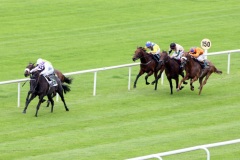 Banimpire-PML 00162513