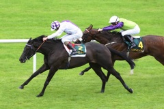 Banimpire-PML 00162524