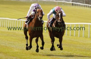 postulation-070615pml414 postulation-070615pml414